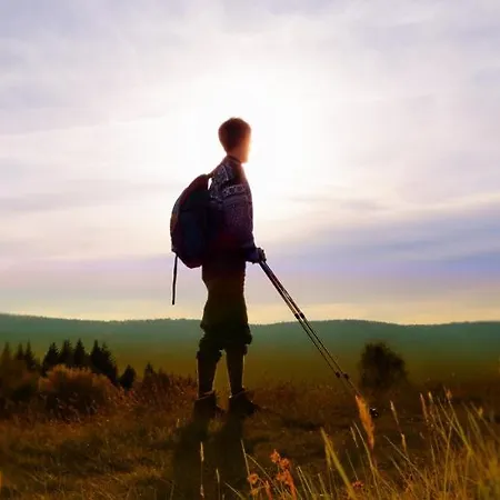 Berggasthaus Braunbergstueble Oppenau
